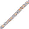 Tira led 12V 5m especial carniceiros
