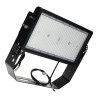 250W STADIUM floodlight LUMILEDS - Mean Well