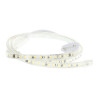 Kit enchufe para tira led 220V autorrectificada