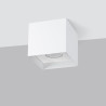 Pendant lamp FOST