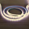 Tira conduzida 5m 24V 14.4W/m IP65