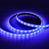 Fita LED RGB 12V Submersível 14.4W/m 4200lm IP68