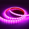 Ruban LED RGB 12V Submersible 14.4W/m 4200lm IP68