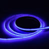 Tira LED 24V COB RGB 12W/m 4200lm 10mm Ancho IP20 - azul