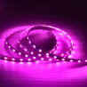 Tira LED 12V Especial Carnicerías