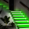 Neon flex strip 12V 12W/m RGB