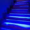 Tira LED 24V RGB 14.4W/m IP20 4200lm 10mm Ancho IP20