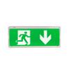 Emergency evacuation adhesive pictogram