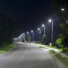 Luminaire de rue à LED de 100W base Ø50mm