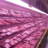 Tube Led 18W spécial boucherie