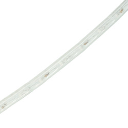 Bande LED RGB 220V IC 36 LED/m IP65