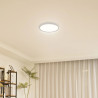 CCT 32W round ceiling lamp