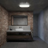 Plafón LED 24W Oval IP65