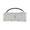 Module LED Bridgelux 36W pour l'éclairage public