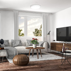 Plafón LED 24W Circular Ø285mm