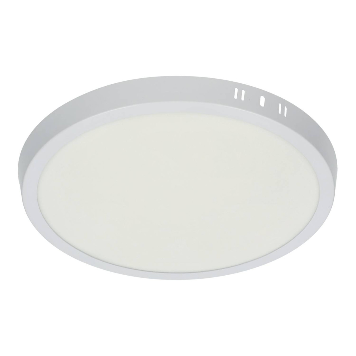 24W Circular LED Ceiling Light Ø285mm