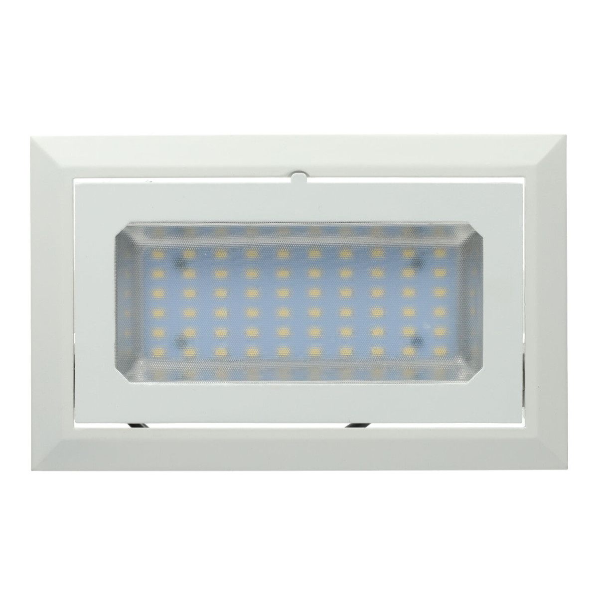 Projecteur Carré plafond réglable 30W