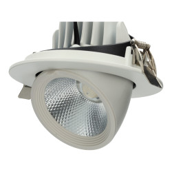 Proyector de Techo LED Redondo Orientable 20W