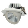 Led Projector 20W telhado rodada orientável