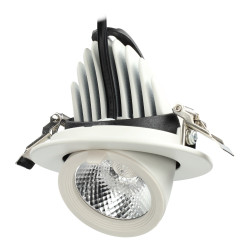 Projecteur LED rond de plafond 12W