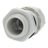 Presse-étoupe NPT 1/2"